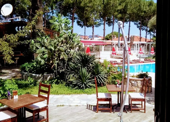 Vento オルデニズ