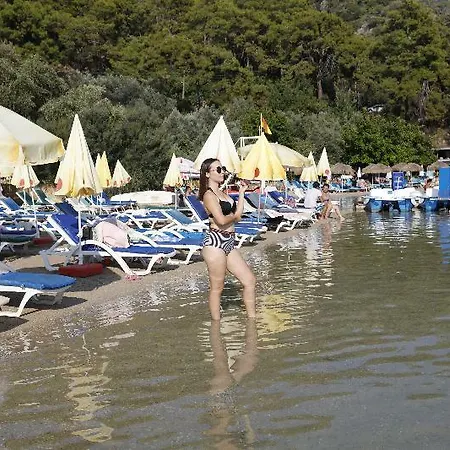 Vento 3*