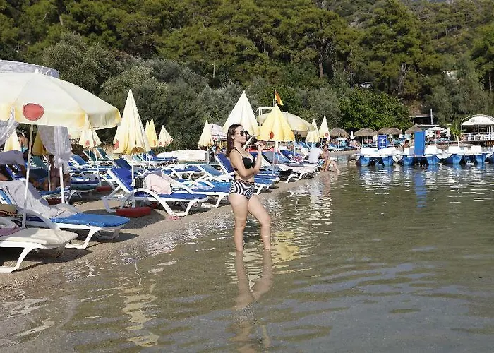 Vento 3*